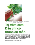 Trị trầm cảm: Đâu chỉ có thuốc an thần