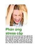 Phản ứng stress cấp