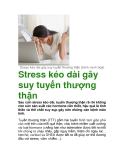 Stress kéo dài gây suy tuyến thượng thận