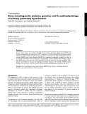 Báo cáo y học: "Bone morphogenetic proteins, genetics and the pathophysiology of primary pulmonary hypertension"