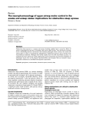 Báo cáo y học: " The neuropharmacology of upper airway motor control in the awake and asleep states: implications for obstructive sleep apnoea"