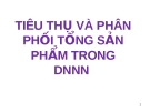 TIÊU THỤ VÀ PHÂN PHỐI TỔNG SẢN PHẨM TRONG DNNN