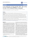 Báo cáo y học: " In situ detection of Gag-specific CD8+ cells in the GI tract of SIV infected Rhesus macaques"