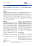 Báo cáo y học: "Hematopoietic stem cells and retroviral infection"