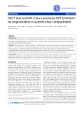 Báo cáo y học: "HIV-1 Vpu and HIV-2 Env counteract BST-2/tetherin by sequestration in a perinuclear compartment"