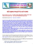 SỬ DỤNG PALETTE ACTIONS