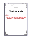 Luận văn tốt nghiệp :Tự do hóa trong EU và khả năng thâm nhập thị trường EU của hàng hóa Việt Nam