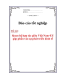 Luận văn: Quan hệ hợp tác giữa Việt Nam-EU góp phần vào sự phát triển kinh tế
