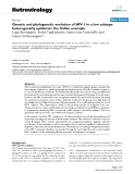 Báo cáo y học: "Genetic and phylogenetic evolution of HIV-1 in a low subtype heterogeneity epidemic: the Italian example"