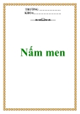 Nấm men