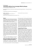 Báo cáo y học: "Clostridium difficile: the increasingly difficult pathogen"