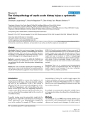 Báo cáo y học: "The histopathology of septic acute kidney injury: a systematic review"