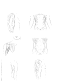 Kaplan anatomy coloring book - part 10