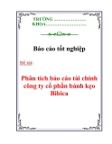 Báo cáo tốt nghiệp: Phân tich báo cáo tài chính công ty cổ phần bánh kẹo Bibica