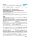 Báo cáo y học: "Use of the probiotic Lactobacillus plantarum 299 to reduce pathogenic bacteria in the oropharynx of intubated patients: a randomised controlled open pilot study"