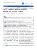 Báo cáo y học: "A health economic model for evaluating a vaccine for the prevention of herpes zoster and post-herpetic neuralgia in the UK"