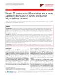 Báo cáo y học: " Keratin 19 marks poor differentiation and a more aggressive behaviour in canine and human hepatocellular tumours"