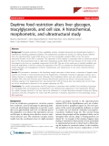 Báo cáo y học: "Daytime food restriction alters liver glycogen, triacylglycerols, and cell size. A histochemical, morphometric, and ultrastructural study"