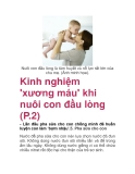  Kinh nghiệm 'xương máu' khi nuôi con đầu lòng (P.2)