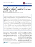 Báo cáo y học: "Aspergillus fumigatus allergen expression is coordinately regulated in response to hydrogen peroxide and cyclic AMp"