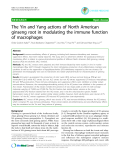 Báo cáo y học: "The Yin and Yang actions of North American ginseng root in modulating the immune function of macrophages"