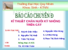 Kĩ thuật nuôi kỳ nhông trên cát