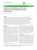 Báo cáo y học: "Isolation and identification of bioactive compounds in Andrographis paniculata (Chuanxinlian)"