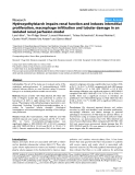 Báo cáo y học: "Hydroxyethylstarch impairs renal function and induces interstitial proliferation, macrophage infiltration and tubular damage in an isolated renal perfusion model"