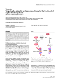 Báo cáo y học: "Targeting the ubiquitin proteasome pathway for the treatment of septic shock in patients"