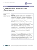 Báo cáo y học: "A thalamic reticular networking model of consciousness"