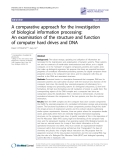 Báo cáo y học: "A comparative approach for the investigation of biological information processing: An examination of the structure and function of computer hard drives and DNA"