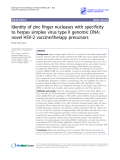 Báo cáo y học: " Identity of zinc finger nucleases with specificity to herpes simplex virus type II genomic DNA: novel HSV-2 vaccine/therapy precursors"