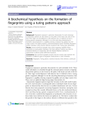 Báo cáo y học: "  A biochemical hypothesis on the formation of fingerprints using a turing patterns approach"