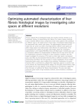 Báo cáo y học: "  Optimizing automated characterization of liver fibrosis histological images by investigating color spaces at different resolutions"