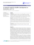 Báo cáo y học: " A network model for biofilm development in Escherichia coli K-12"