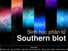 Bài thuyết trình Sinh học phân tử_Southern blot