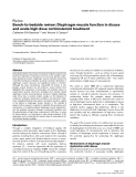 Báo cáo y học: " Bench-to-bedside review: Diaphragm muscle function in disuse and acute high-dose corticosteroid treatment"