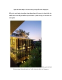 Ngôi nhà thân thiện với môi trường trong kiến trúc Singapore Kiến trúc xanh ngày