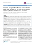 Báo cáo y học: "Ischemia as a possible effect of increased intraabdominal pressure on central nervous system cytokines, lactate and perfusion pressures"