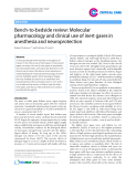 Báo cáo y học: " Bench-to-bedside review: Molecular pharmacology and clinical use of inert gases in anesthesia and neuroprotection"