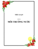 Baì tiểu luận về tài nguyên nước