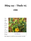 Đằng xay - Thuốc trị cảm