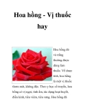 Hoa hồng - Vị thuốc hay