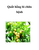 Quất hồng bì chữa bệnh