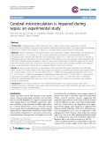 Báo cáo y học: "Cerebral microcirculation is impaired during sepsis: an experimental study"