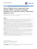 Báo cáo y học: "Bacterial flagellin elicits widespread innate immune defense mechanisms, apoptotic signaling, and a sepsis-like systemic inflammatory response in mice"