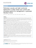 Pulmonary vascular and right ventricular dysfunction in adult critical care: current and emerging options for management: a systematic literature review"