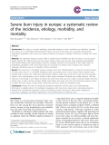 Báo cáo y học: "Severe burn injury in europe: a systematic review of the incidence, etiology, morbidity, and mortality"