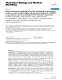 Báo cáo y học: "Human embryonal epithelial cells of the developing small intestinal crypts can express the Hodgkin-cell associated antigen Ki-1 (CD30) in spontaneous abortions during the first trimester of gestation"