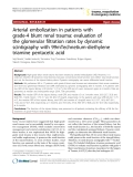 Báo cáo y học: "Arterial embolization in patients with grade-4 blunt renal trauma: evaluation of the glomerular filtration rates by dynamic scintigraphy with 99mTechnetium-diethylene triamine pentacetic acid"